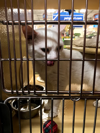 Pet Supply Store «PetSmart», reviews and photos, 9905 E Independence Blvd, Matthews, NC 28105, USA
