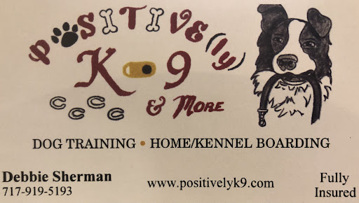 Positively K9 & More
