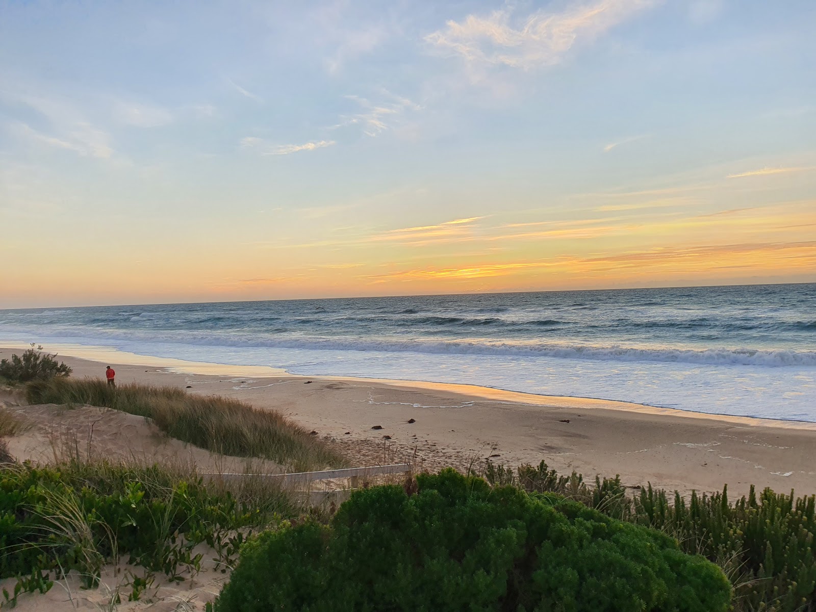 Mcloughlins Beach photo #9