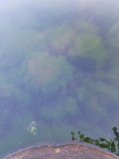 Nature Preserve «Franklin Lakes Nature Preserve», reviews and photos, 1 Nature Preserve Way, Franklin Lakes, NJ 07417, USA