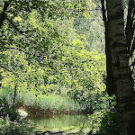 Photo n°4 de l'avis de Salvatore.l fait le 15/08/2019 à 13:16 sur le  Paradiso delle Rane à San Giorio di Susa