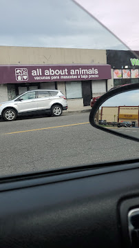 All About Animals Rescue - Photo 7 - Car repair in Detroit, MI, Dearborn