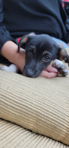 Barber Shop «Tocayos Barber Shop», reviews and photos, 8013 Greenleaf Ave, Whittier, CA 90602, USA