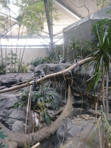 Gift Shop «Minnesota Zoo Gift Shop», reviews and photos, 13000 Zoo Blvd, Apple Valley, MN 55124, USA