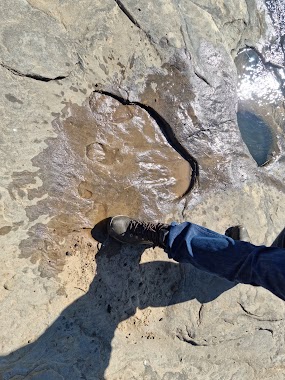 Leribe Dinosaur Footprints