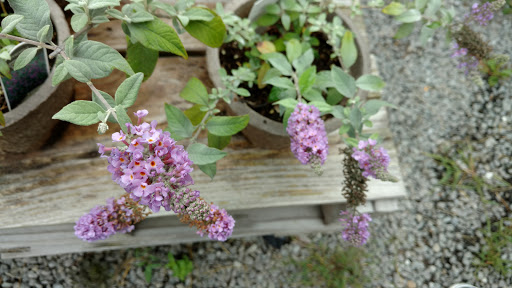 Produce Market «Smith Farm», reviews and photos, 131 Kimball Hill Rd, Hudson, NH 03051, USA