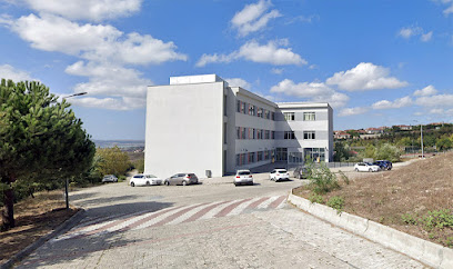 T.C. İstanbul Üniversitesi-Cerrahpaşa Mühendislik Fakültesi Jeoloji Mühendisliği Bölümü