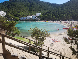 Cala Llonga Plajı'in fotoğrafı çok temiz temizlik seviyesi ile