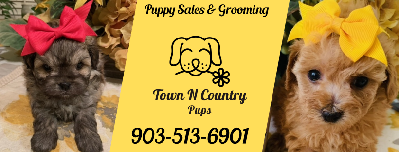 Town N Country Pups & Grooming