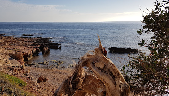Playa les rotes denia