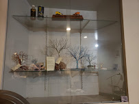 Value Auto Clinic - Photo 8 - Car repair in Kansas City, MO, Kansas City