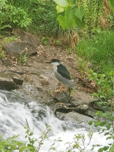 Golf Course «Harvard Gulch Golf Course», reviews and photos, 660 E Iliff Ave, Denver, CO 80210, USA