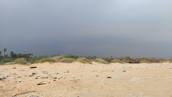 Zdjęcie Kundal Beach położony w naturalnym obszarze