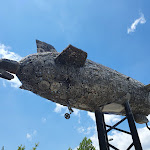 Photo n°2 de l'avis de catona.u fait le 22/07/2022 à 18:47 sur le  Zeppelin Hangar à Friedrichshafen