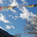 Photo n°8 de l'avis de Gabi.l fait le 09/04/2023 à 17:23 sur le  Hofschank Schlossbauer à Kastelbell-Tschars