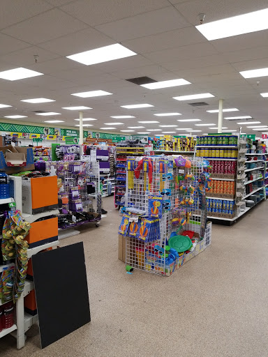 Dollar Store «Dollar Tree», reviews and photos, 11910 Valley Blvd, El Monte, CA 91732, USA