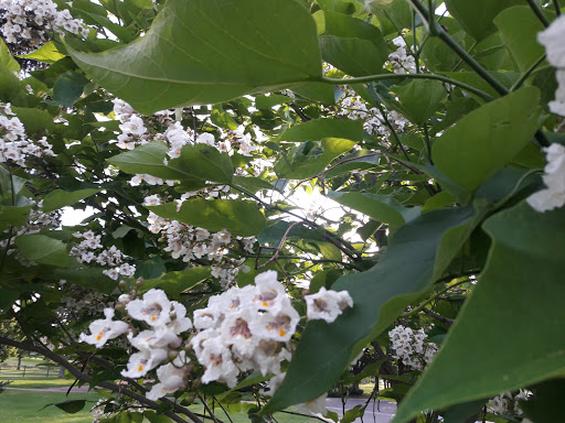 Golf Course «Harvard Gulch Golf Course», reviews and photos, 660 E Iliff Ave, Denver, CO 80210, USA