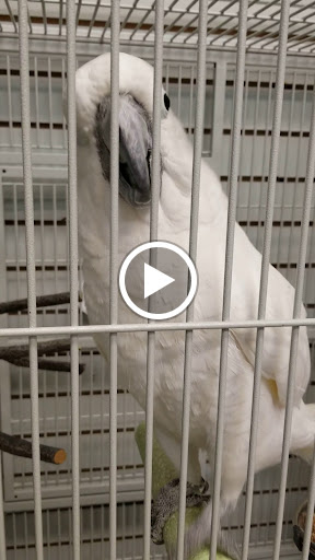 Pet Store «Pet World Warehouse Outlet», reviews and photos, 2984 S 108th St, Milwaukee, WI 53227, USA