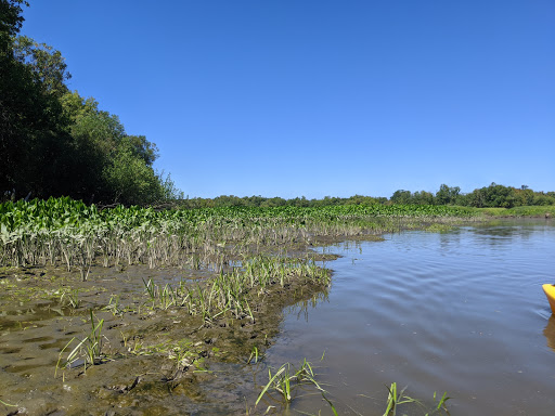 Canoe & Kayak Rental Service «Scappoose Bay Paddling Center», reviews and photos, 57420 Old Portland Rd, Warren, OR 97053, USA