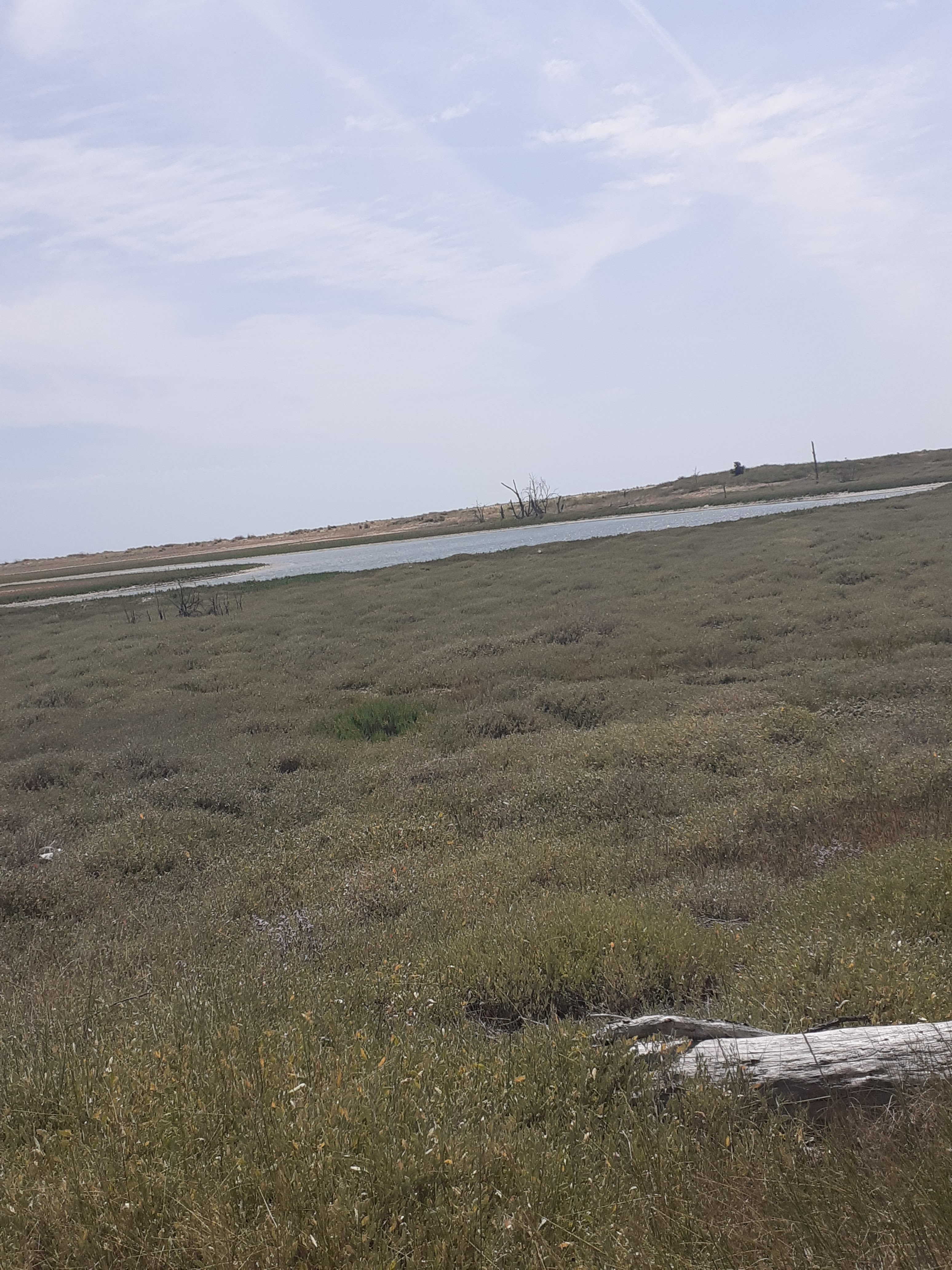 Photo n° 4 de l'avis de Sandy.a fait le 23/07/2023 à 17:53