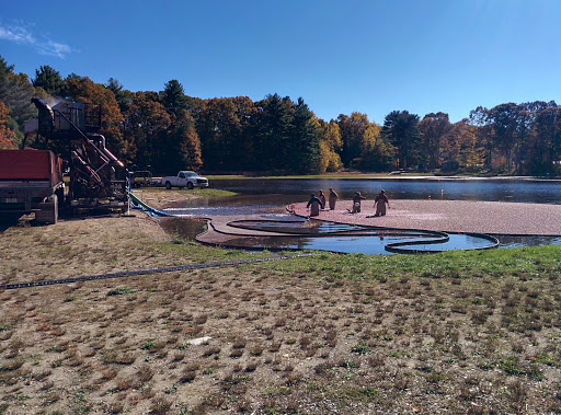 Nature Preserve «The Nature Trail and Cranberry Bog», reviews and photos, 252 Patriot Pl, Foxborough, MA 02035, USA