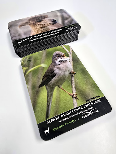 Nowomiejska 3, 20-619 Lublin