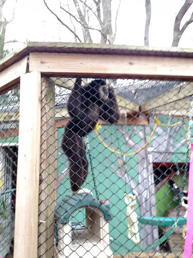 Zoo «Wildlife Wonders», reviews and photos, 2754 Paradise Valley Rd, Cleveland, GA 30528, USA