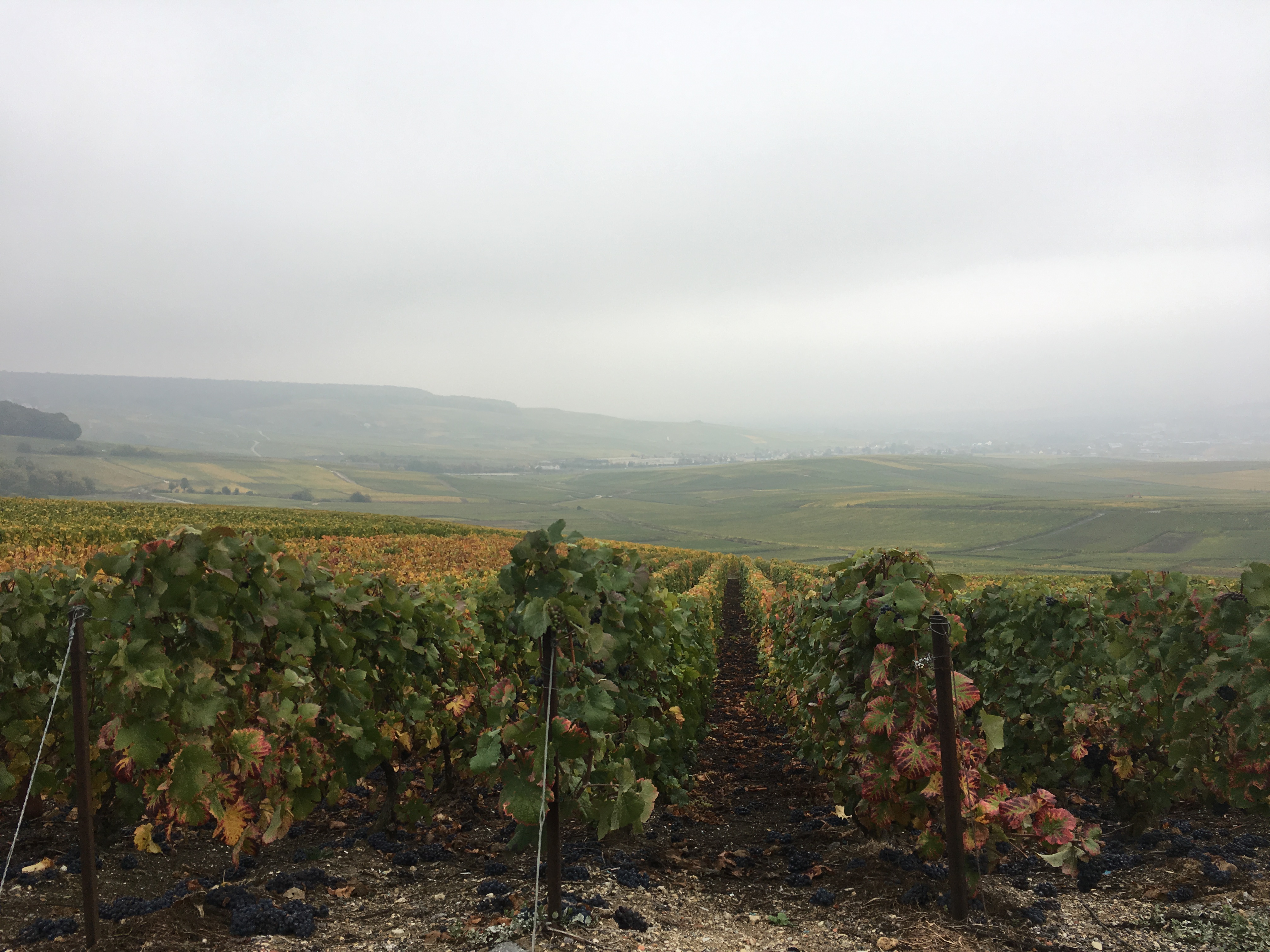 Photo n° 2 de l'avis de Christopher.o fait le 21/08/2019 à 17:01