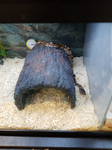 Pet Supply Store «Petco Animal Supplies», reviews and photos, 12551 Jefferson Ave #119, Newport News, VA 23602, USA