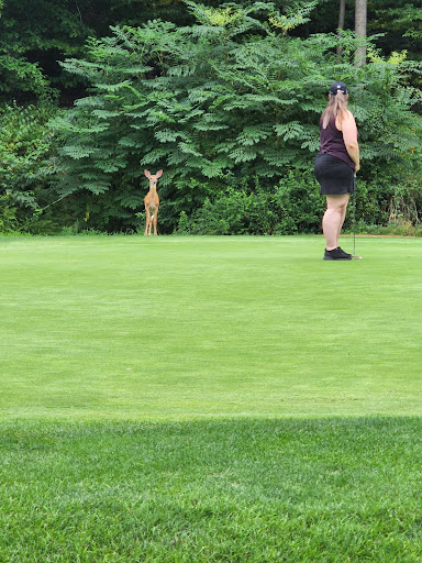 Public Golf Course «West Point Golf Course», reviews and photos, 1230 NY-218, West Point, NY 10996, USA