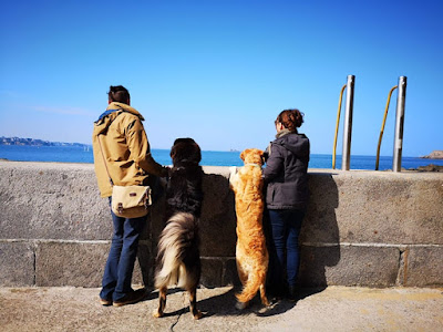 Le Chien Qui Pêche à Homps