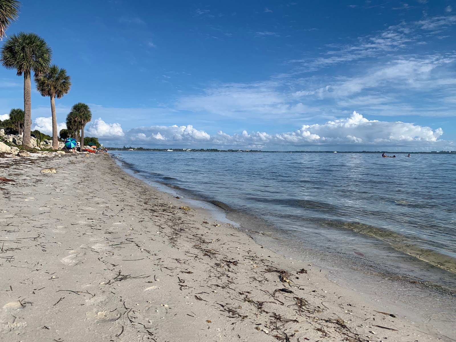 Photo de Hobie Island beach avec l'eau turquoise de surface