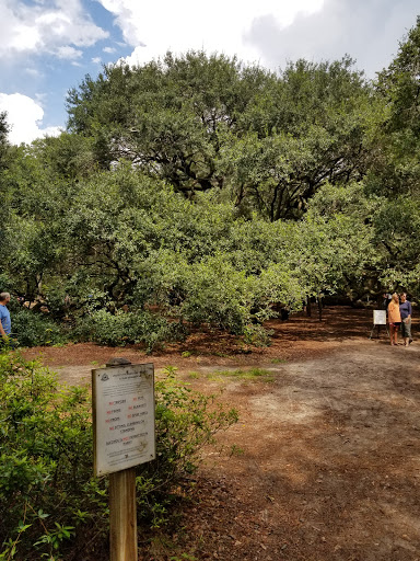 Thrift Store «Goodwill», reviews and photos, 1758 Main Rd, Johns Island, SC 29455, USA