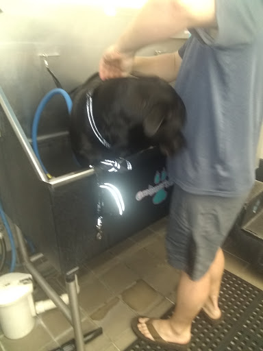 Pet Supply Store «Pet Supplies Plus», reviews and photos, 21703 Village Lakes Shopping Center Dr, Land O Lakes, FL 34639, USA