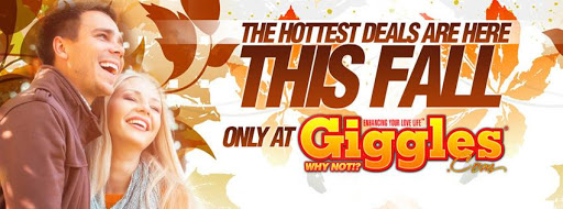 Adult Entertainment Store «Giggles in Hyde Park», reviews and photos, 3969 Albany Post Rd, Hyde Park, NY 12538, USA