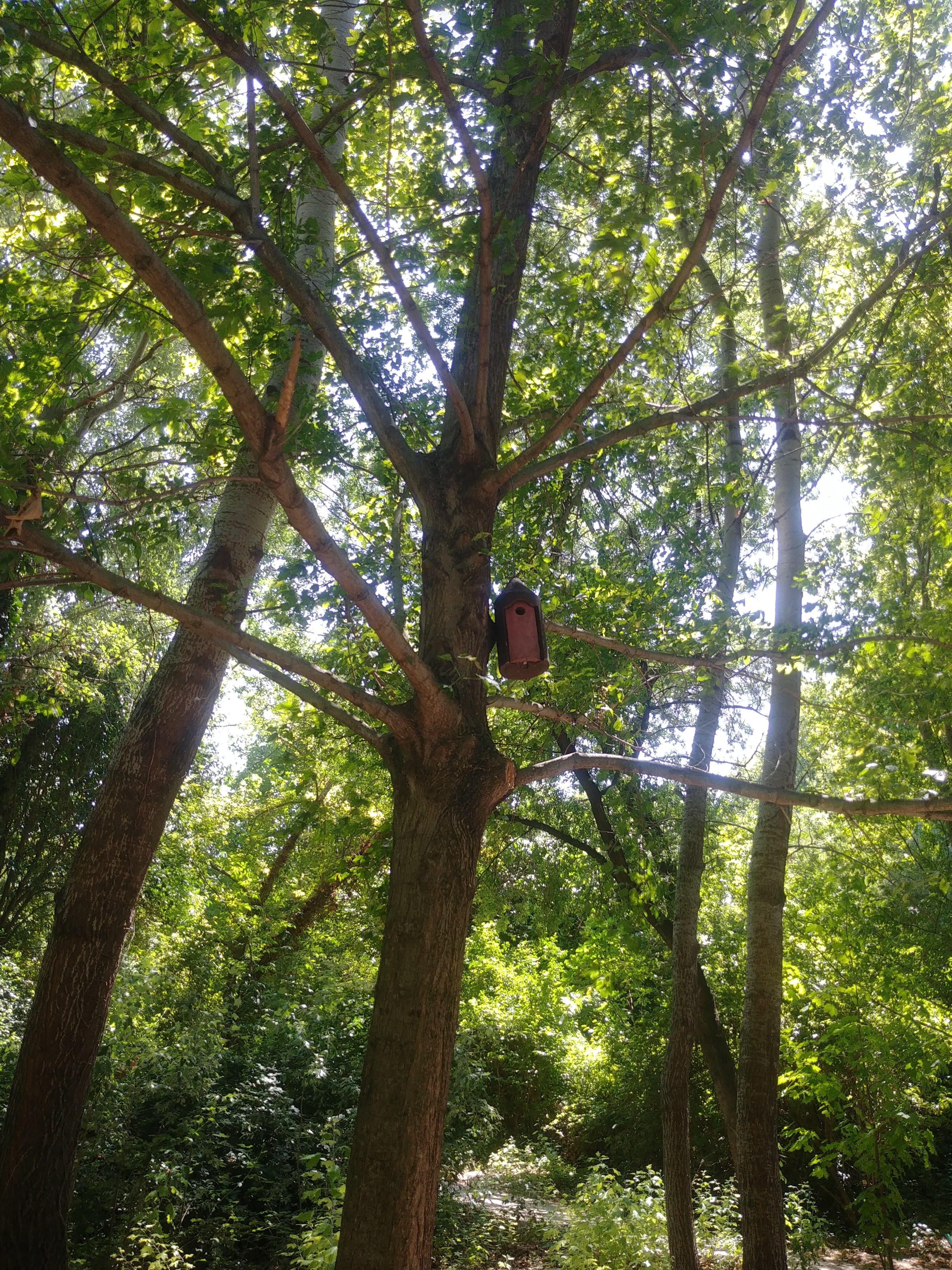 Photo n° 2 de l'avis de Sybella.e fait le 26/07/2021 à 18:15