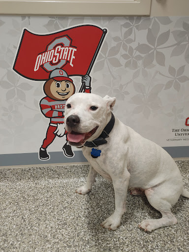 The Frank Stanton Veterinary Spectrum of Care Clinic image