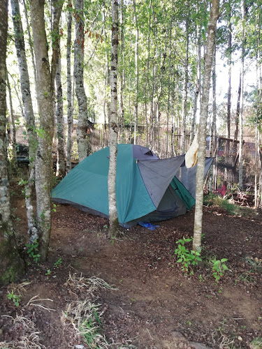 Camping San Jose - Villarrica