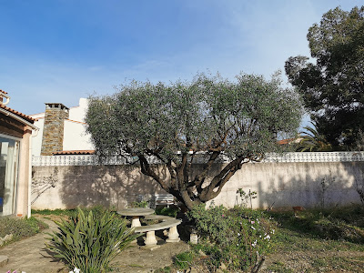 PIKO Elagage Entretien et création de jardins à Cuers