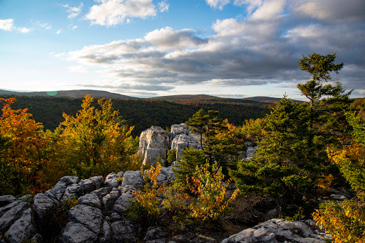 Dolly Sods Wilderness