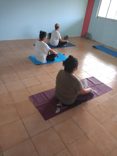 Yoga y Gimnasia Psicofísica - Nicolás Bravo 31, Centro, 91300 Banderilla, Ver., Mexico