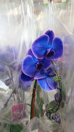 Home Improvement Store «The Home Depot», reviews and photos, 111 Universal Dr N, North Haven, CT 06473, USA