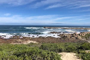 Cape Columbine Nature Reserve image