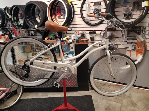 Bicycle Repair Shop «Bicycle Clinic Llc», reviews and photos, 8650 Old Kings Rd S, Jacksonville, FL 32217, USA