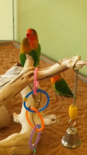 Pet Store «Lebanon Pet & Aquarium Center», reviews and photos, 196 S Main St, West Lebanon, NH 03784, USA