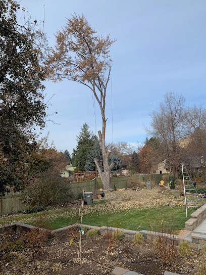 American Tree & Shrub, Inc.