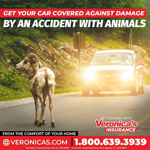 Insurance Agency «Adrianas Insurance Services Inc», reviews and photos