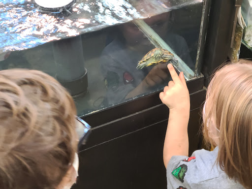 Pet Supply Store «Petco Animal Supplies», reviews and photos, 4665 Garth Rd #400, Baytown, TX 77521, USA