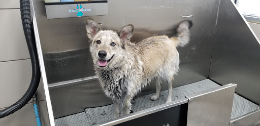 Pet Supply Store «Pet Supplies Plus», reviews and photos, 9430 W 159th St, Orland Park, IL 60467, USA