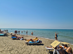 Zdjęcie Plaża Libera di Fregene z poziomem czystości wysoki